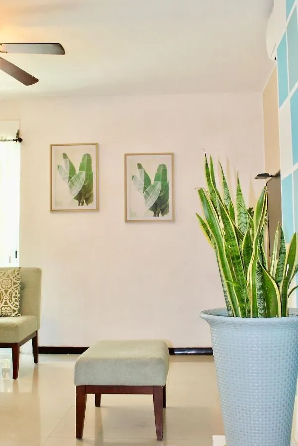 Centrally Located Apartment In Pdc Mexico